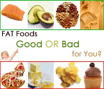 how important is fat in diet